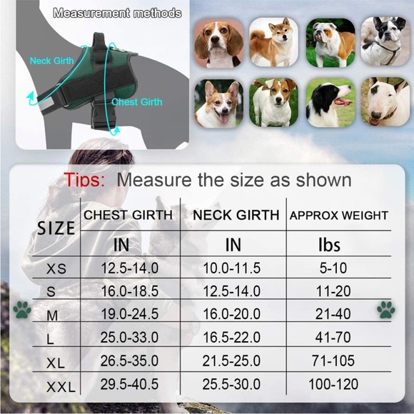 New Bolux Dog No-Pull Harness and Stretch Dog Leash, Medium - Picture 5 of 9